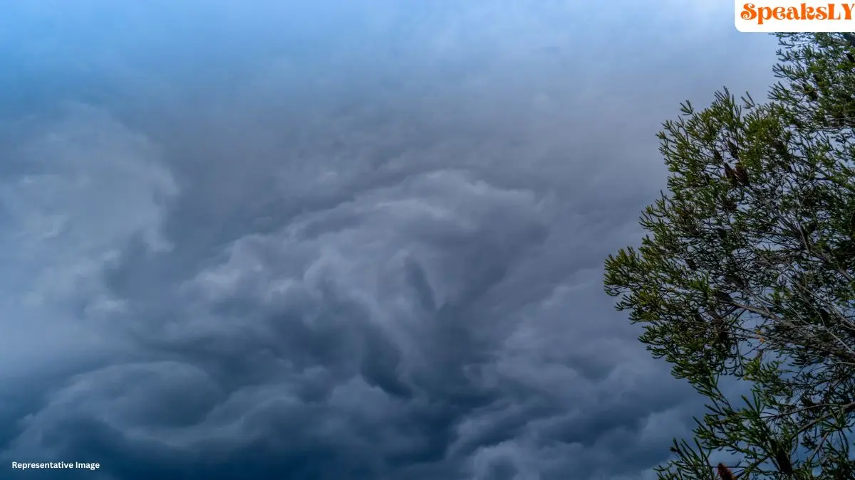 La Niña Winter 2024: What This Weather Pattern Means for the U.S. – From Cold Snaps to Drought Risks